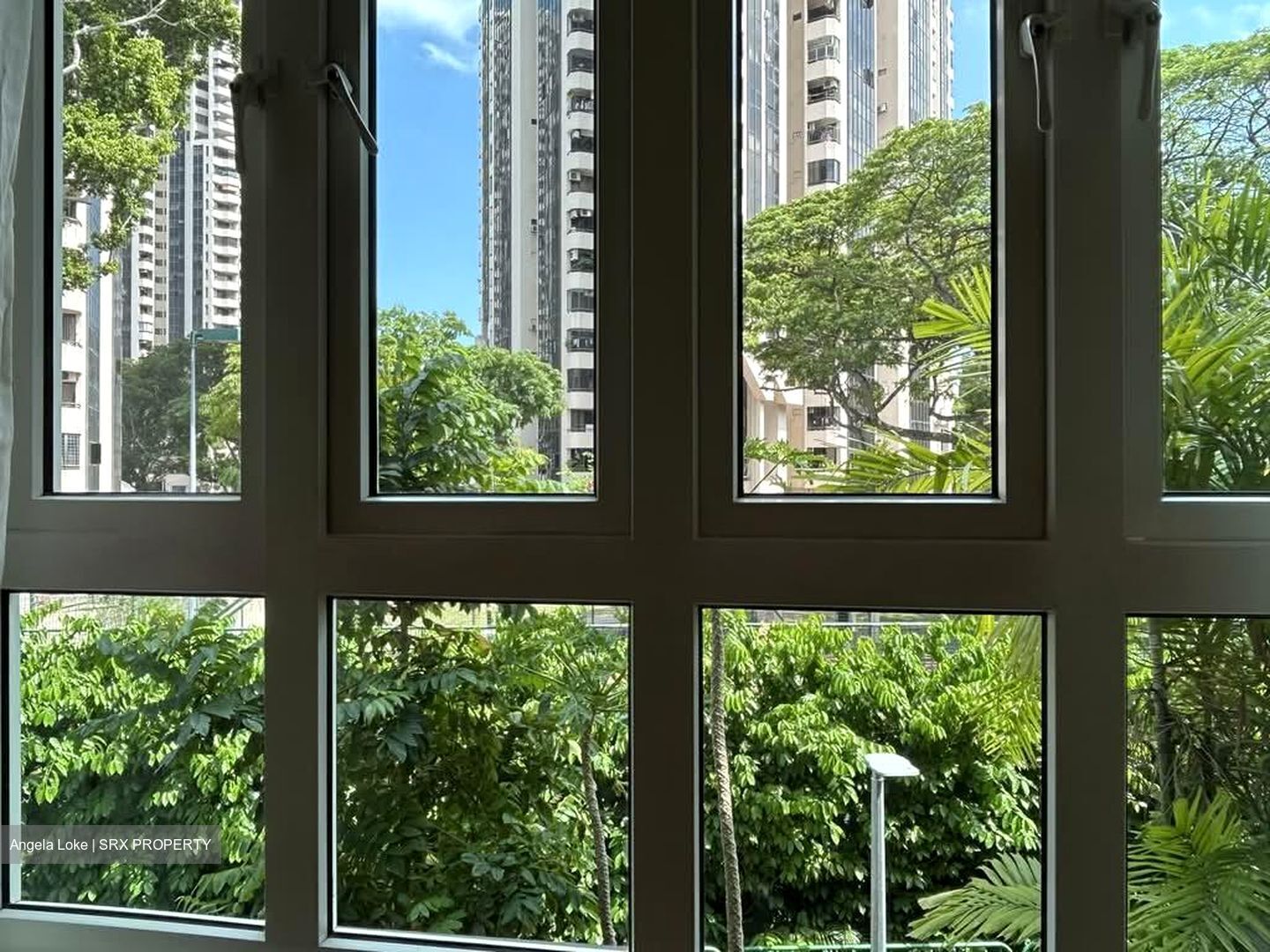 The Taipan (D16), Apartment #603829641